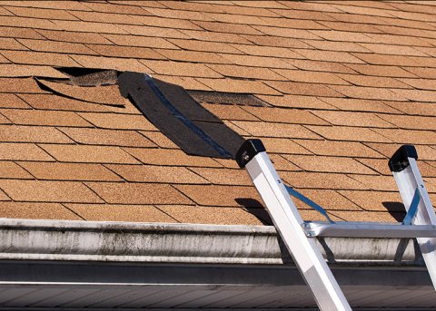 Damaged roof in need of repair in Richmond